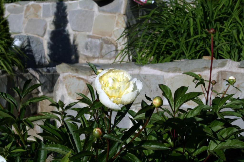 Lilla Huset Pa Slaetten B&B Lund Ngoại thất bức ảnh